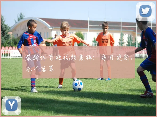 最新体育短视频集锦：每日更新，永不落幕