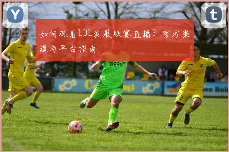 如何观看LDL发展联赛直播？官方渠道与平台指南