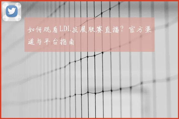如何观看LDL发展联赛直播？官方渠道与平台指南